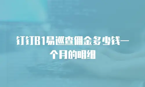 钉钉B1易巡查佣金多少钱一个月的明细