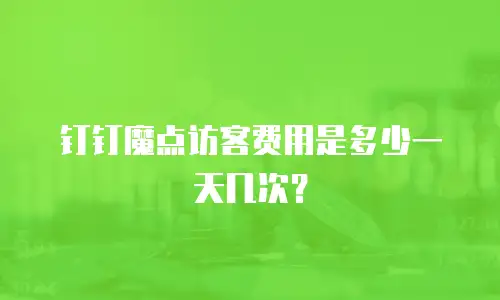 钉钉魔点访客费用是多少一天几次？