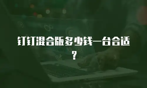 钉钉混合版多少钱一台合适？