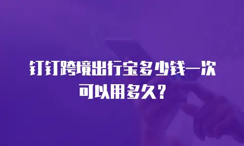 钉钉跨境出行宝多少钱一次可以用多久？