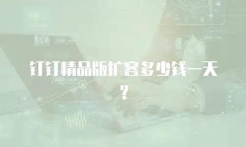 钉钉精品版扩容多少钱一天？