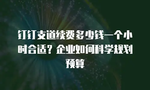 钉钉支道续费多少钱一个小时合适？企业如何科学规划预算