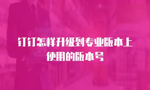 钉钉怎样升级到专业版本上使用的版本号