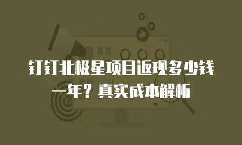 钉钉北极星项目返现多少钱一年？真实成本解析