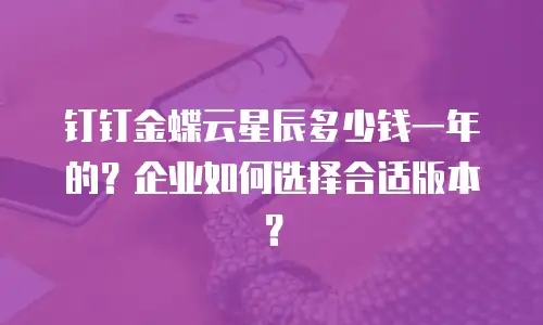 钉钉金蝶云星辰多少钱一年的？企业如何选择合适版本？