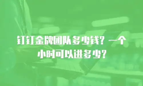 钉钉金牌团队多少钱？一个小时可以进多少？