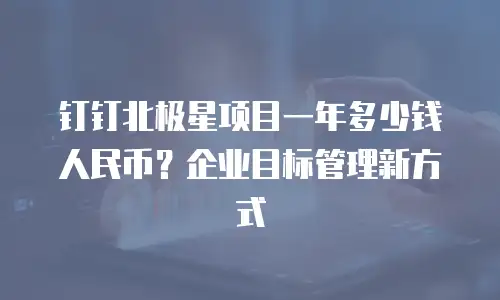 钉钉北极星项目一年多少钱人民币？企业目标管理新方式