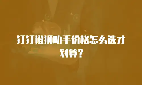 钉钉橙狮助手价格怎么选才划算？