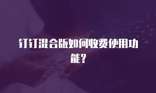 钉钉混合版如何收费使用功能？