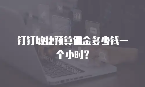 钉钉敏捷预算佣金多少钱一个小时？