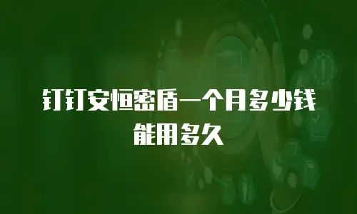 钉钉安恒密盾一个月多少钱能用多久