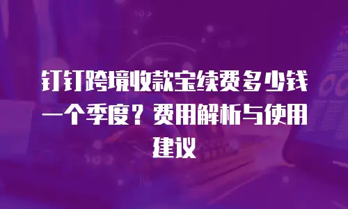 钉钉跨境收款宝续费多少钱一个季度？费用解析与使用建议