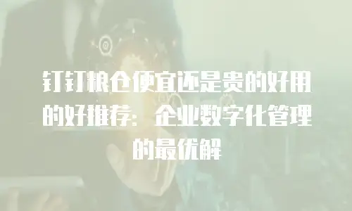 钉钉粮仓便宜还是贵的好用的好推荐：企业数字化管理的最优解
