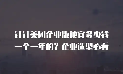 钉钉美团企业版便宜多少钱一个一年的？企业选型必看