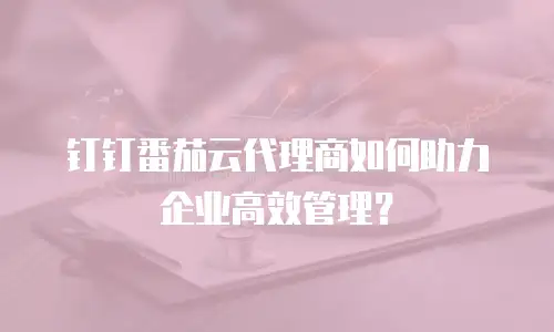 钉钉番茄云代理商如何助力企业高效管理？