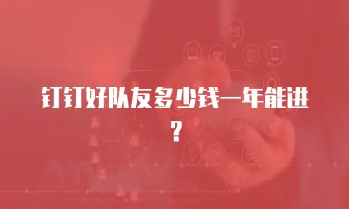 钉钉好队友多少钱一年能进？