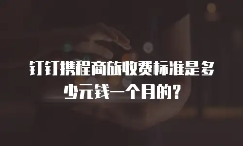 钉钉携程商旅收费标准是多少元钱一个月的？