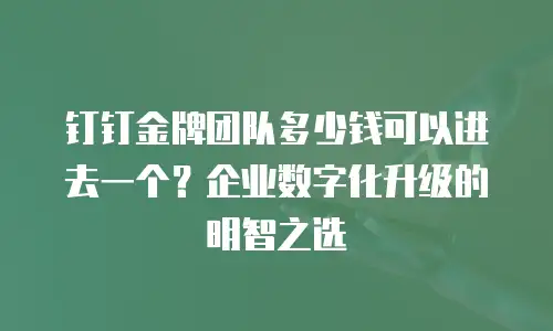 钉钉金牌团队多少钱可以进去一个？企业数字化升级的明智之选