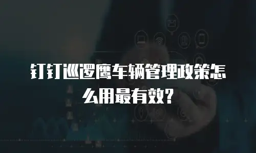 钉钉巡逻鹰车辆管理政策怎么用最有效？