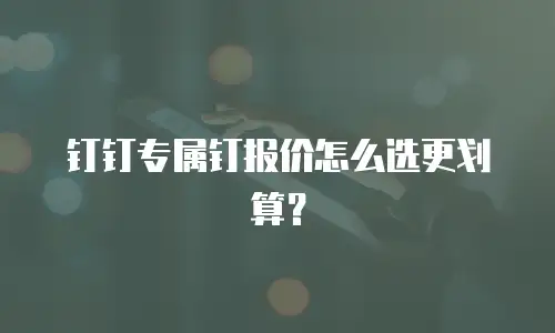 钉钉专属钉报价怎么选更划算？