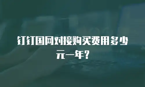 钉钉国网对接购买费用多少元一年？