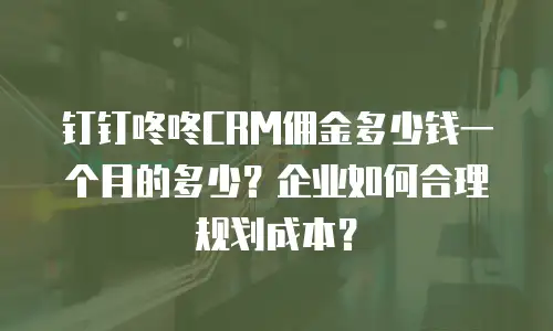 钉钉咚咚CRM佣金多少钱一个月的多少？企业如何合理规划成本？