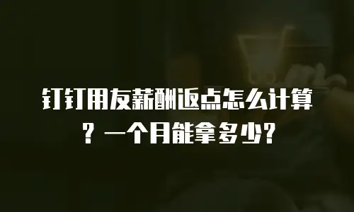 钉钉用友薪酬返点怎么计算？一个月能拿多少？