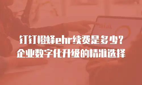 钉钉橙蜂ehr续费是多少？企业数字化升级的精准选择