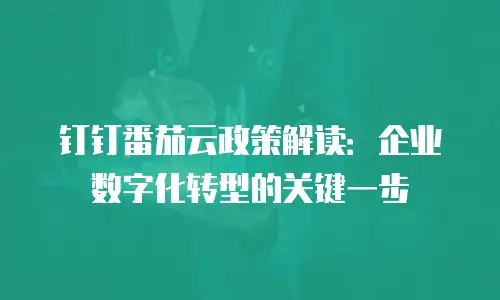 钉钉番茄云政策解读：企业数字化转型的关键一步