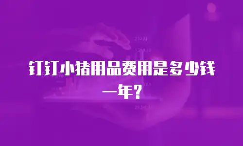 钉钉小猪用品费用是多少钱一年？