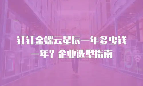 钉钉金蝶云星辰一年多少钱一年？企业选型指南
