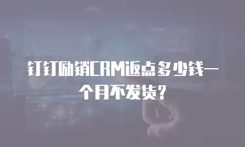 钉钉励销CRM返点多少钱一个月不发货？