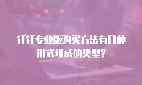 钉钉专业版购买方法有几种形式组成的类型？