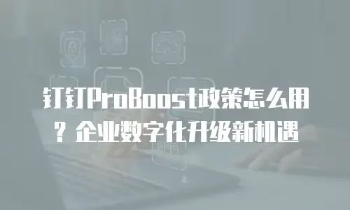钉钉ProBoost政策怎么用？企业数字化升级新机遇