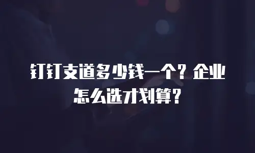 钉钉支道多少钱一个？企业怎么选才划算？