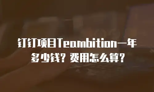 钉钉项目Teambition一年多少钱？费用怎么算？