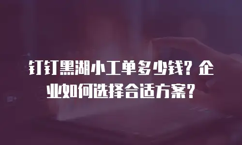 钉钉黑湖小工单多少钱？企业如何选择合适方案？