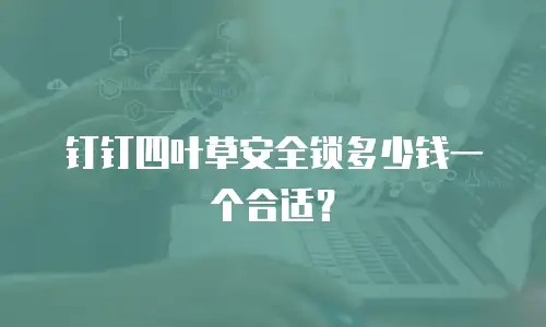 钉钉四叶草安全锁多少钱一个合适？