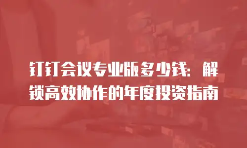 钉钉会议专业版多少钱：解锁高效协作的年度投资指南