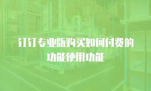 钉钉专业版购买如何付费的功能使用功能