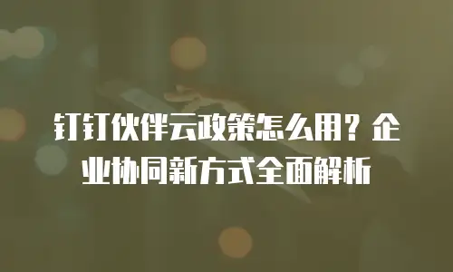 钉钉伙伴云政策怎么用？企业协同新方式全面解析