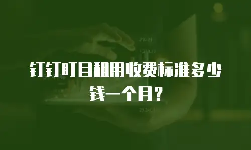 钉钉盯目租用收费标准多少钱一个月？