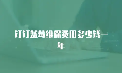 钉钉蓝莓维保费用多少钱一年