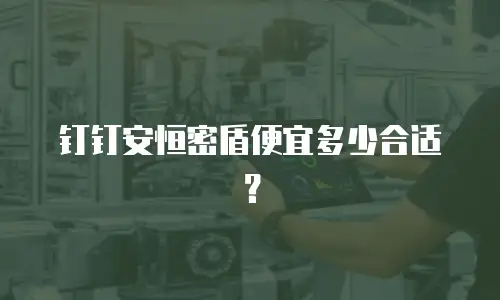 钉钉安恒密盾便宜多少合适？