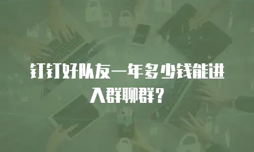 钉钉好队友一年多少钱能进入群聊群？