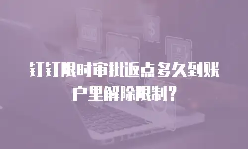 钉钉限时审批返点多久到账户里解除限制？