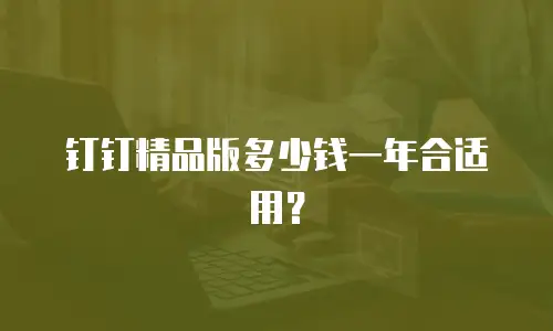 钉钉精品版多少钱一年合适用？