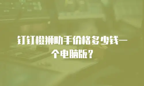 钉钉橙狮助手价格多少钱一个电脑版？