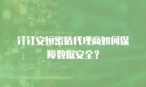 钉钉安恒密盾代理商如何保障数据安全？