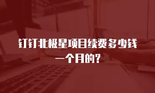 钉钉北极星项目续费多少钱一个月的？